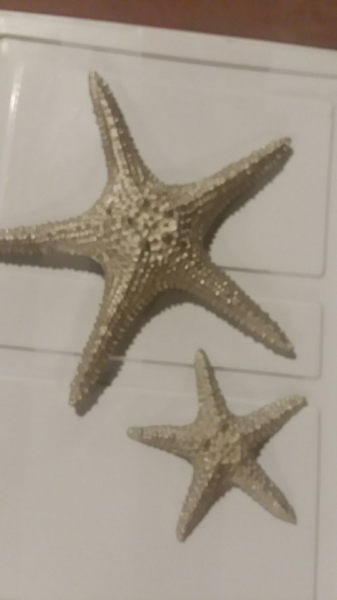 Wall assortment