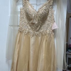 Champagne Dress With Shawl. 