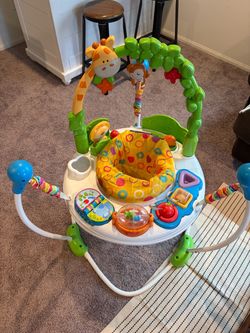 Fisher-Price Baby Bouncer