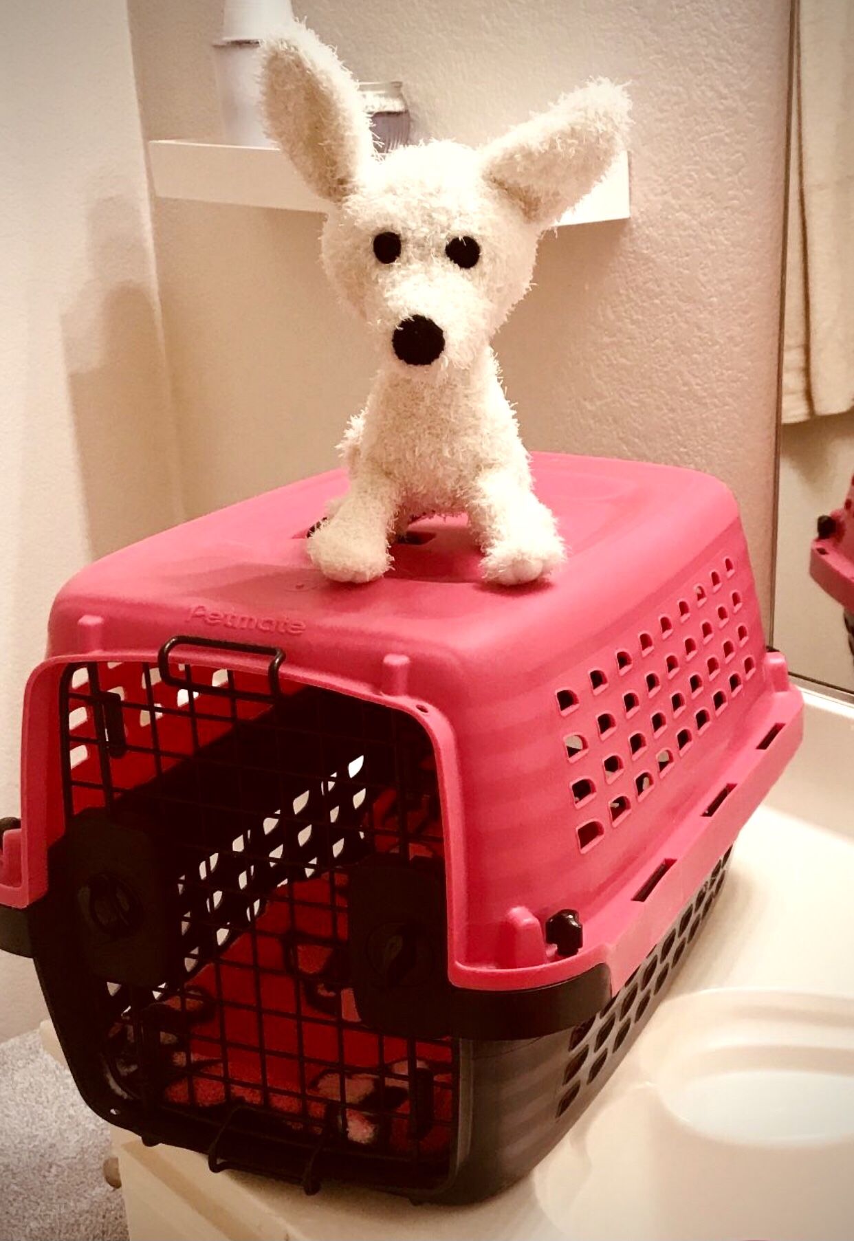 PETMATE Small Dog Carrier Pet Crate 