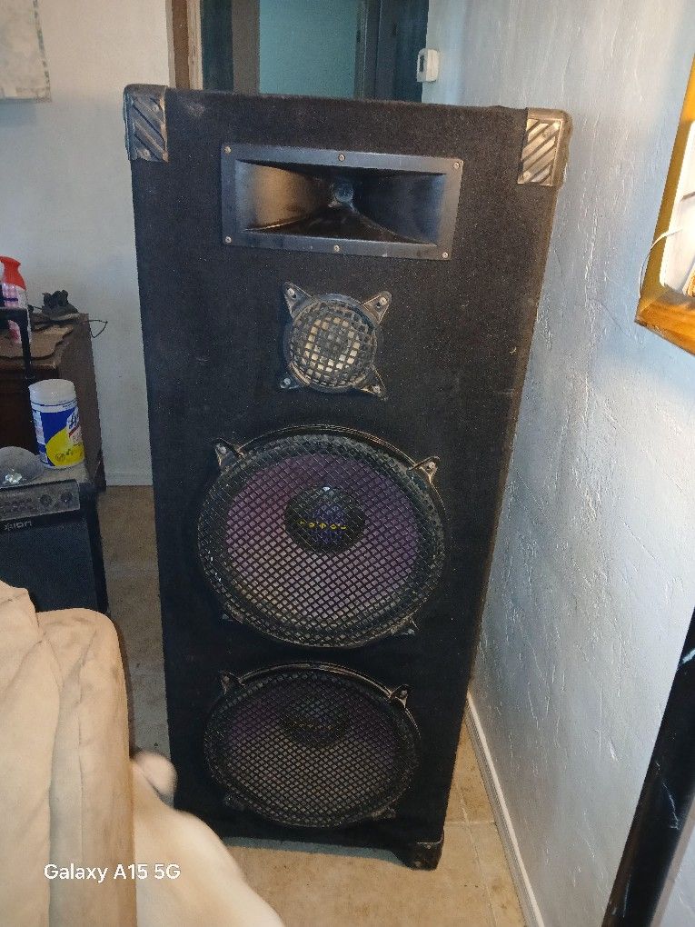 Digital Audio 2 18" Subwoofers