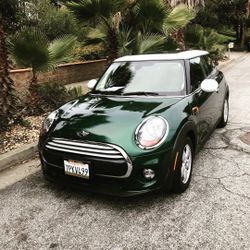 Magnificent Mini