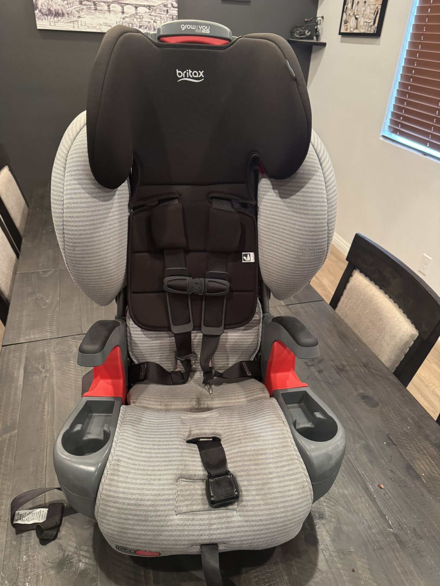 Britax Car Seat