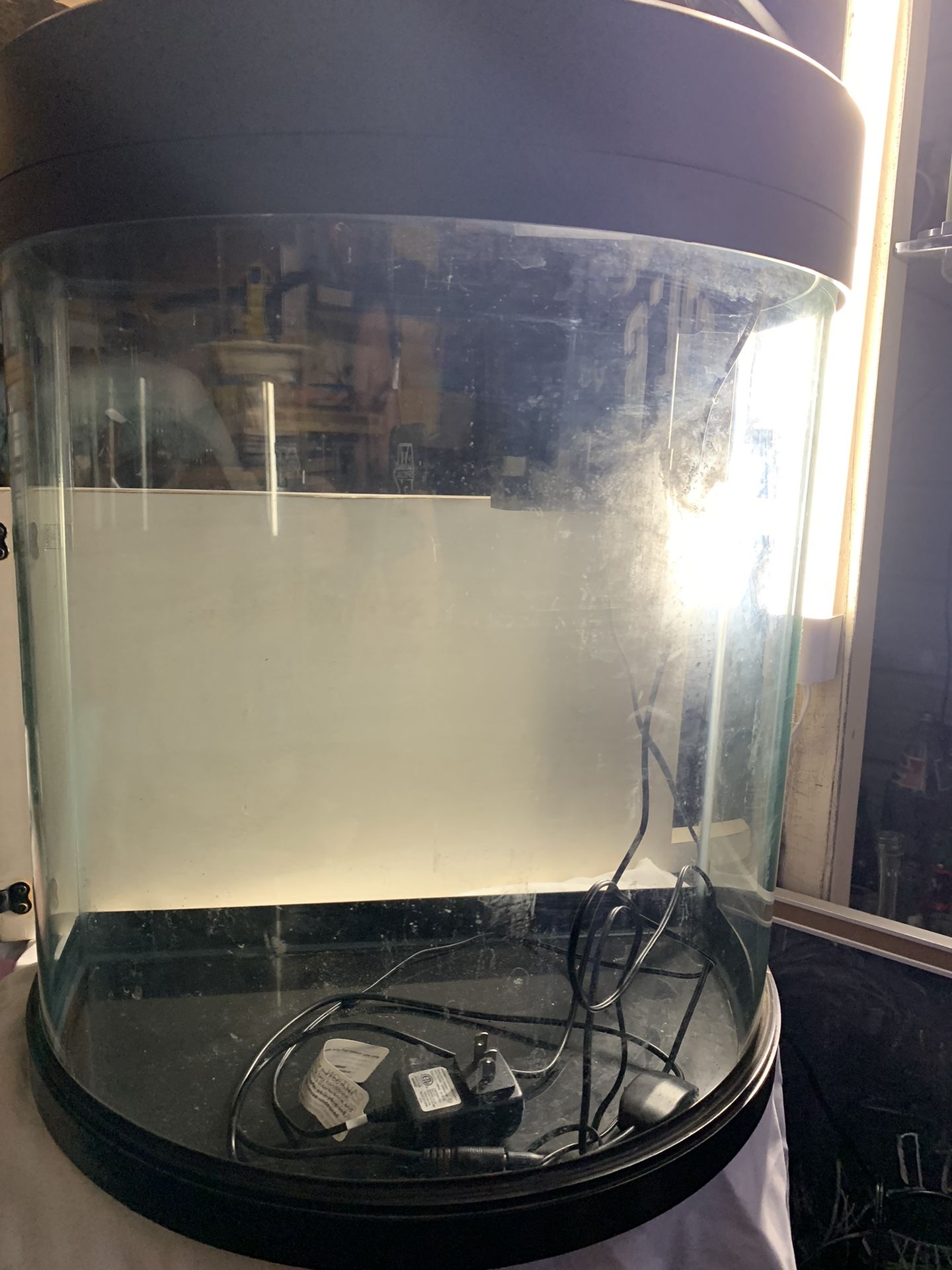 Fish Aquarium 