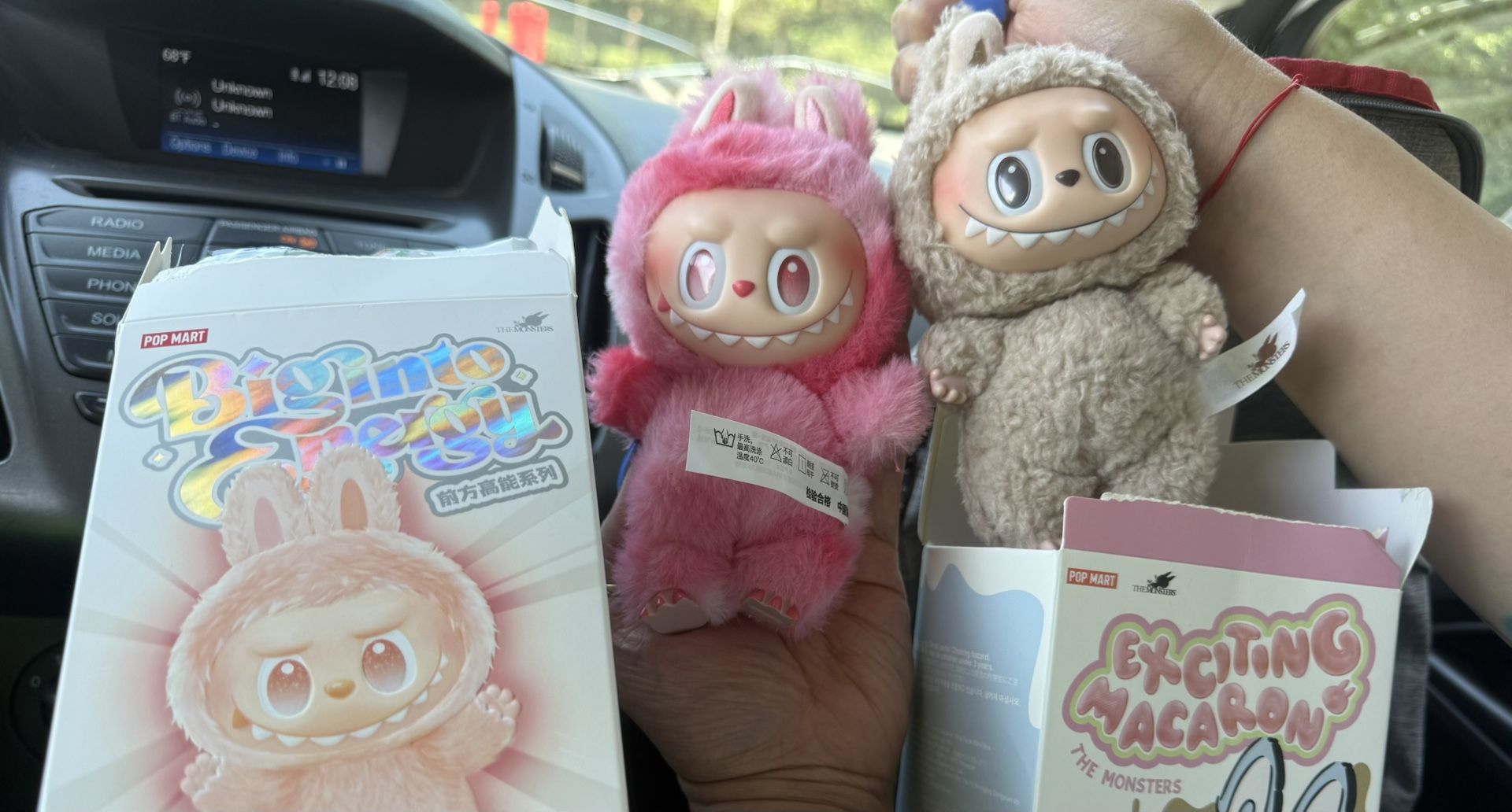 Labubu (take Both )