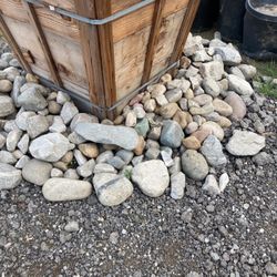 Rocks 