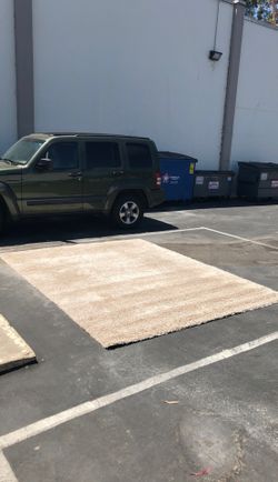 Carpet 8x10 excellent condition