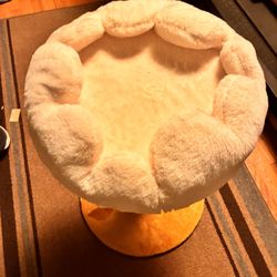 Cat Scratching Post With Bed 