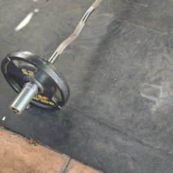 Curl Bar + Weights