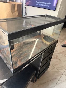 terrario de 40 galones