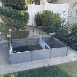 Guinea Pig Cage And Supplies 