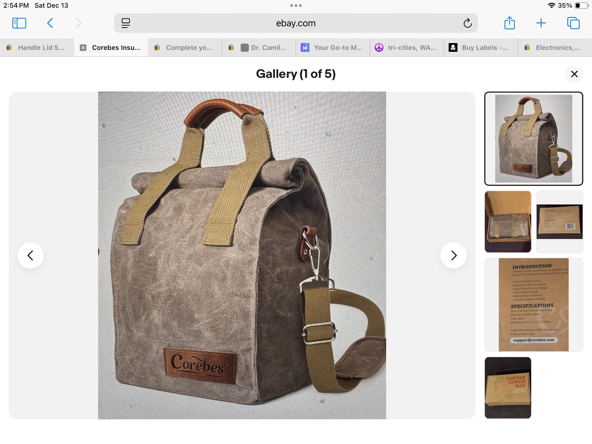 Corebes Insulated Canvas Lunch Bag w/ Handles - Beige 17”