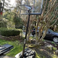 Basketball Hoop For Sale 