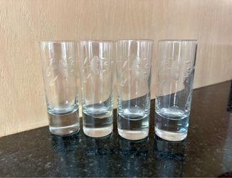 Princess House Shooter Glasses