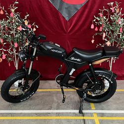 Electric Bike 1500W