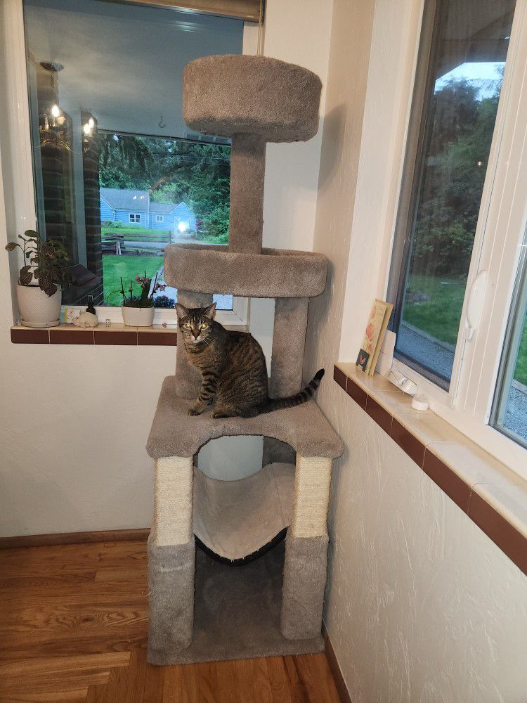 Cat Pedestal