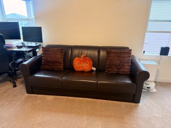 Brown Pull-out Sleeper  Sofa