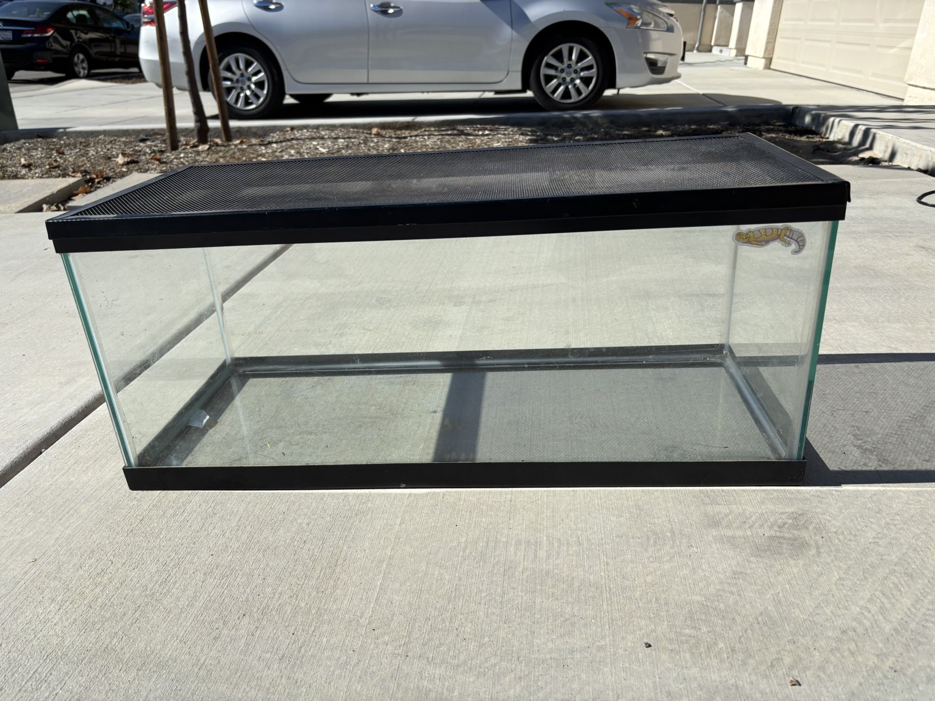 20 Gallon Reptile Aquarium 