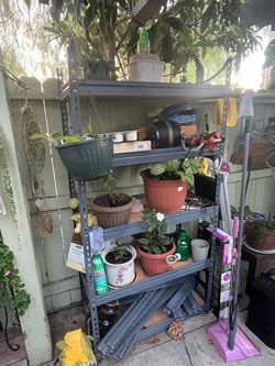 Shelves