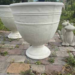 Concrete Pot