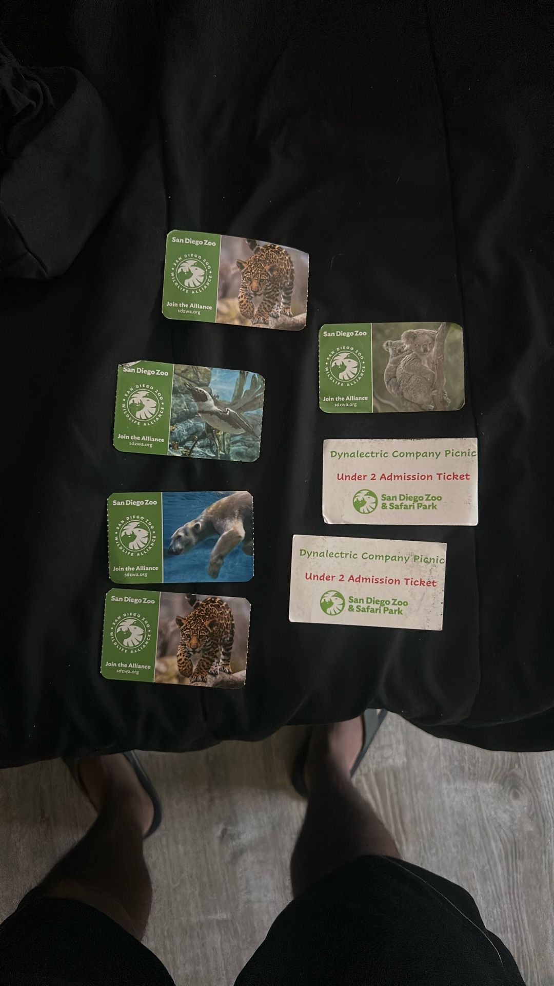 Safari Park Ticket