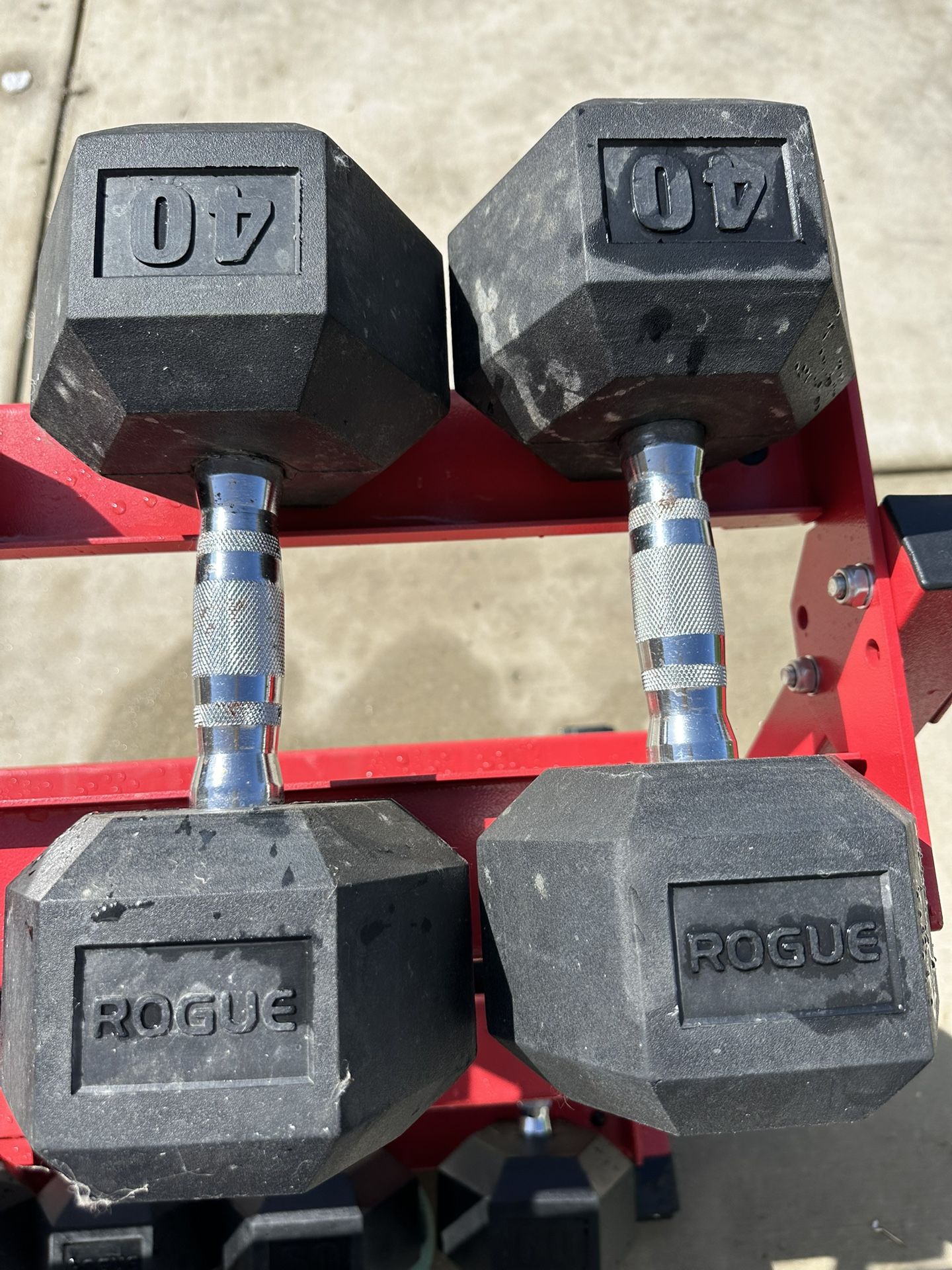 Rogue 40 Lb Dumbbells 