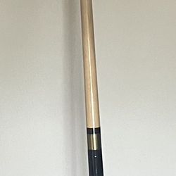 Pro Pool Stick 