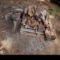FREE - Fire PIT Wood