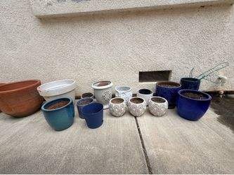 FREE flower pots / planters