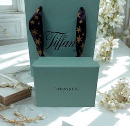 Tiffany 2 Piece Empty Gift Box And Bag. Tiffany Blue