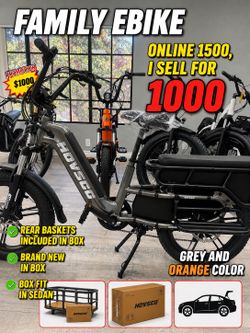 Ebike for family and pets - electric bike for groceries