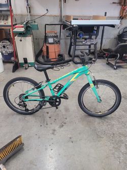 20" girls bike