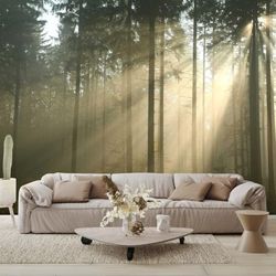 New Autumn Morning Wallpaper