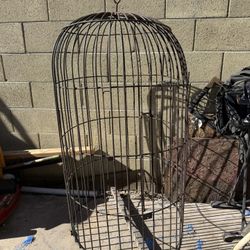 Bird Cage