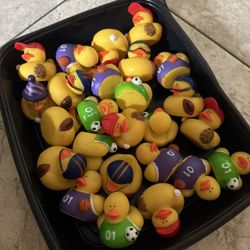 Sports Ducks, Baseball , Football, Soccer, Basketball Delivery 