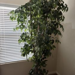 Faux Decorative tree 