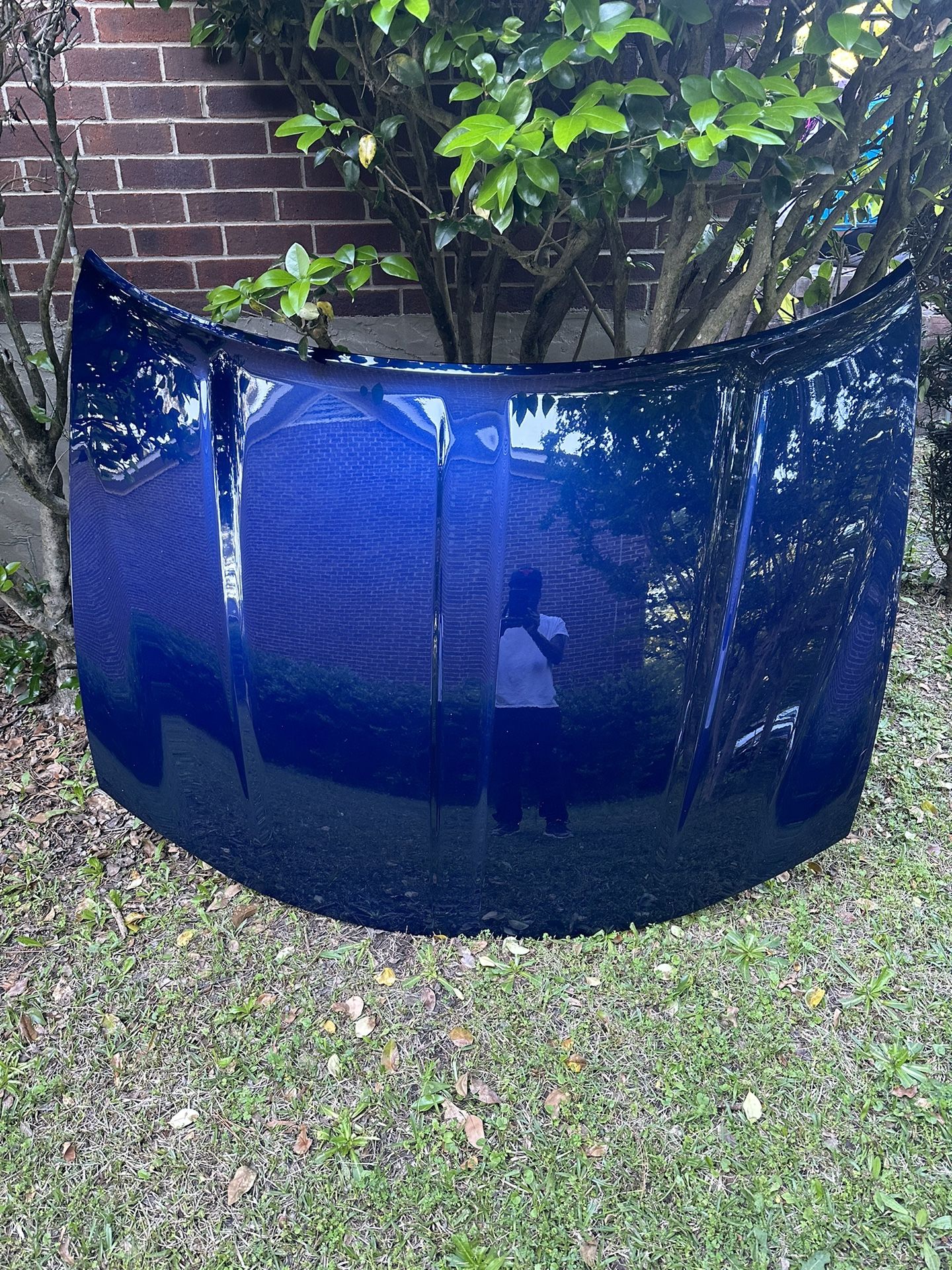 Dodge Charger Hood