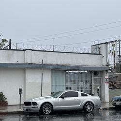 Mustang 2007 V6 Manual transmission