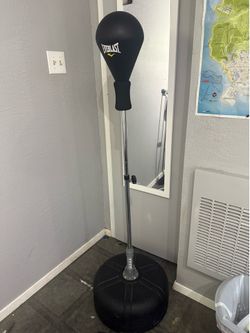 Everlast punching bag