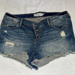 Torrid Plus Size Jean Shorts