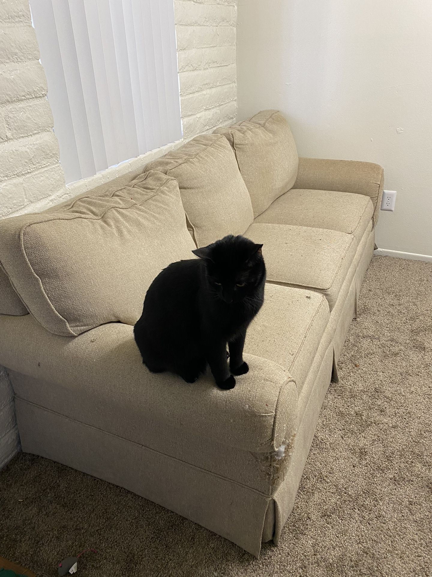Free couch