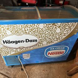 Cooler  Great For Ice Cream And Frozen Items.
