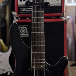 Special Designed 5 String Fernandez Tremor 5