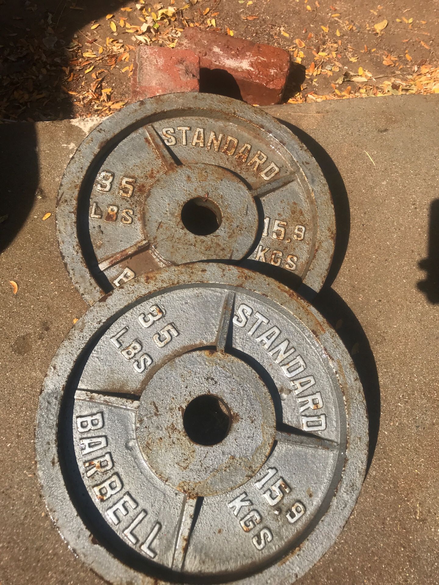 35 lb Olympic bar weights