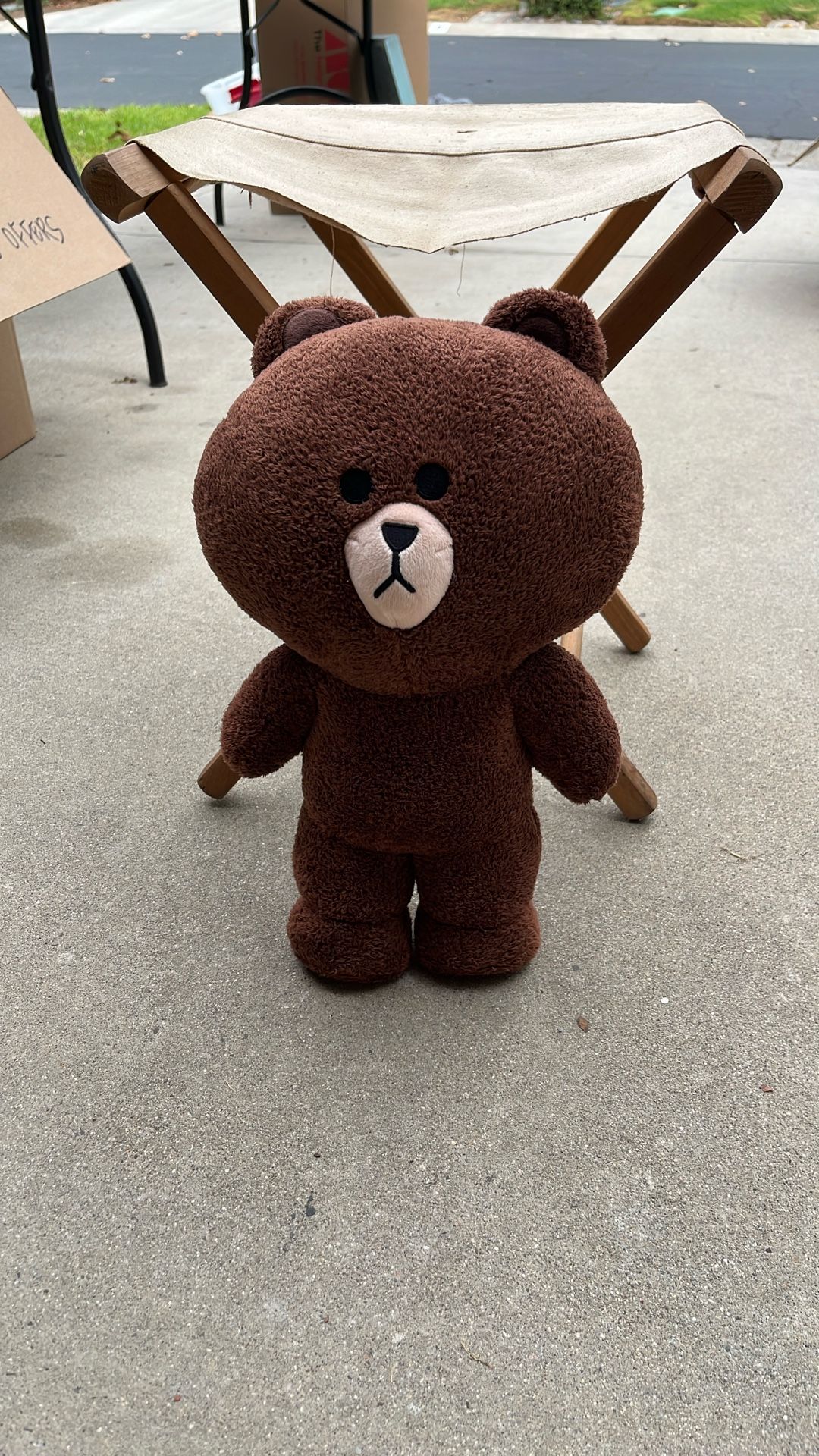 Teddy Bear
