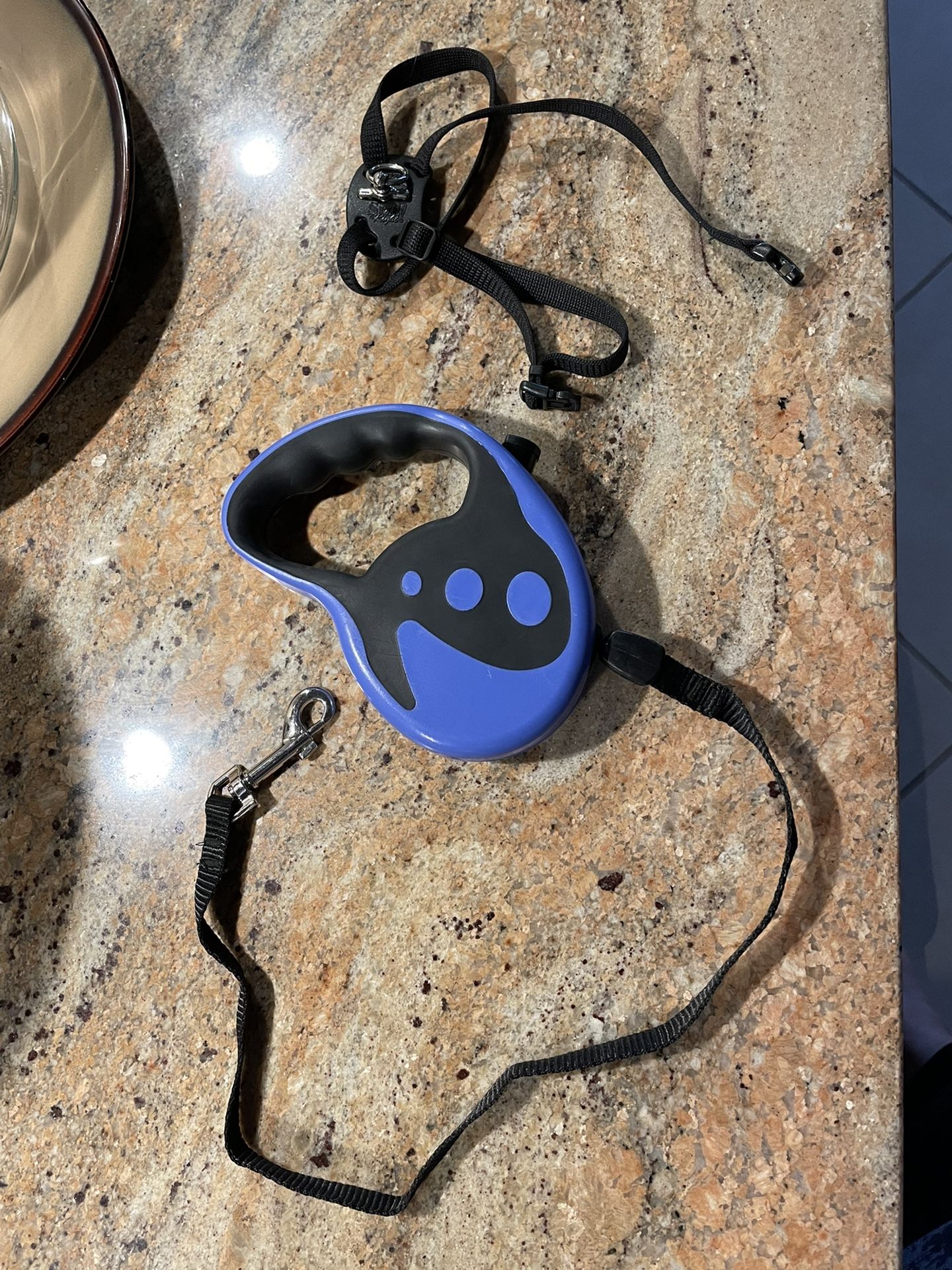 Retractable leash and Harness
