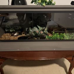 Snake Enclosure Plus Accessories 