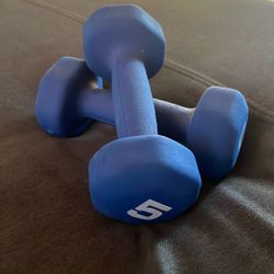 5 Lb Dumbbells 