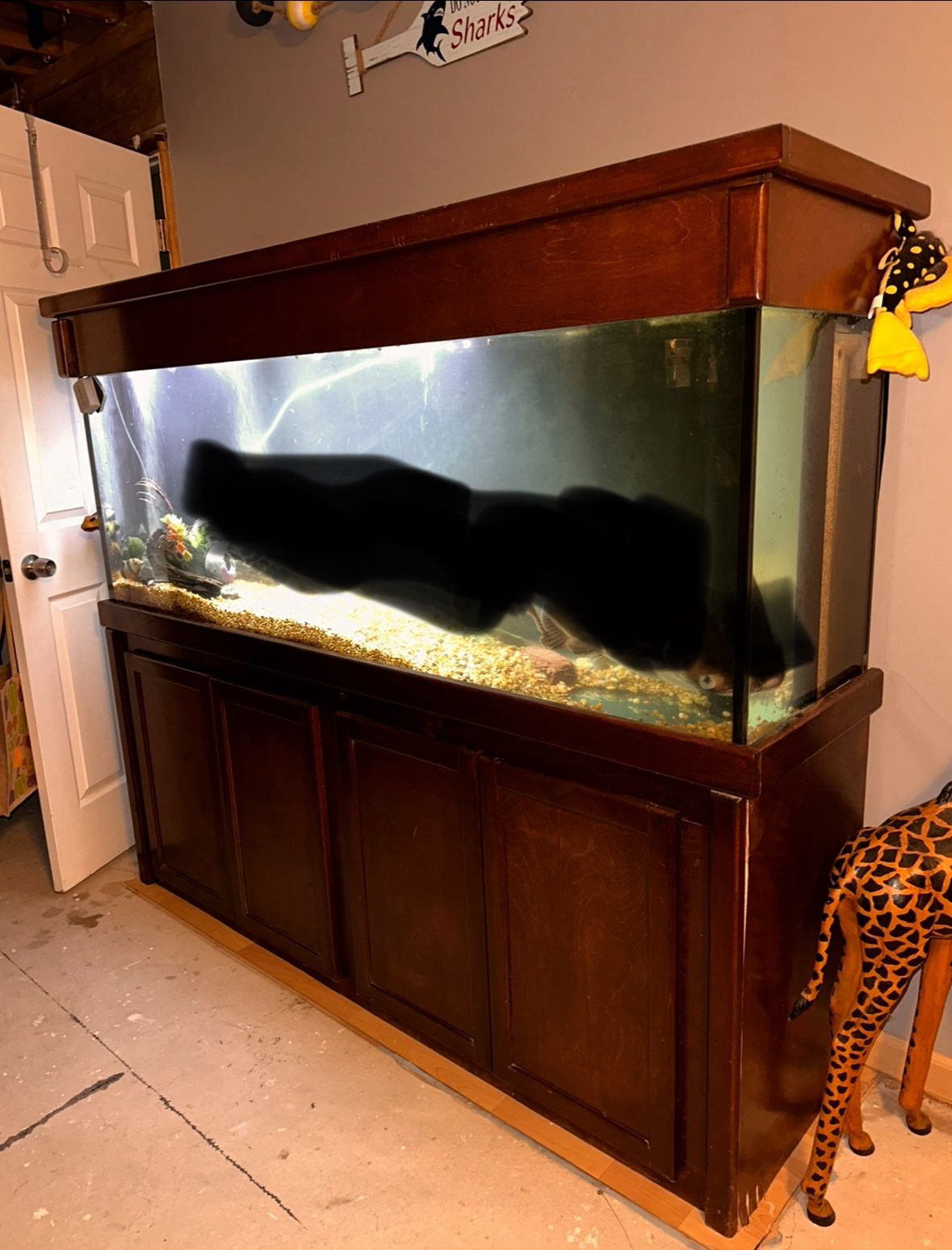 150 gallon reef tank