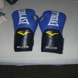 Blue Everlast Boxing Gloves 12oz 
